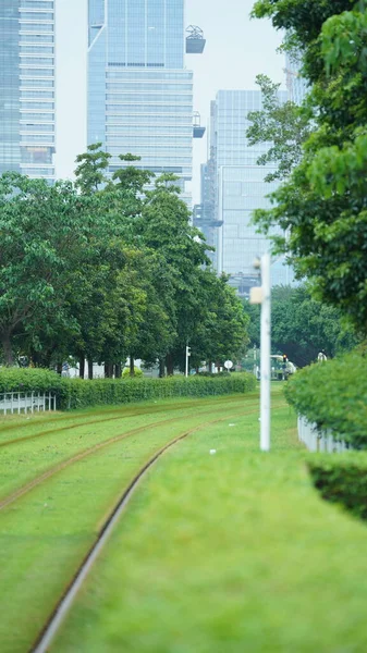 Şehirdeki Yeşil Ağaçlı Demir Izli Tramvay Manzarası — Stok fotoğraf