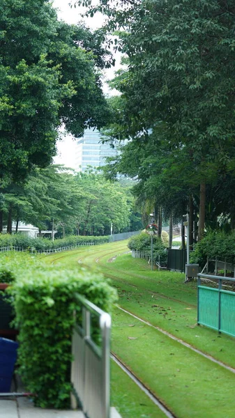 Θέα Του Τραμ Πράσινα Δέντρα Και Σιδερένιο Μονοπάτι Στην Πόλη — Φωτογραφία Αρχείου