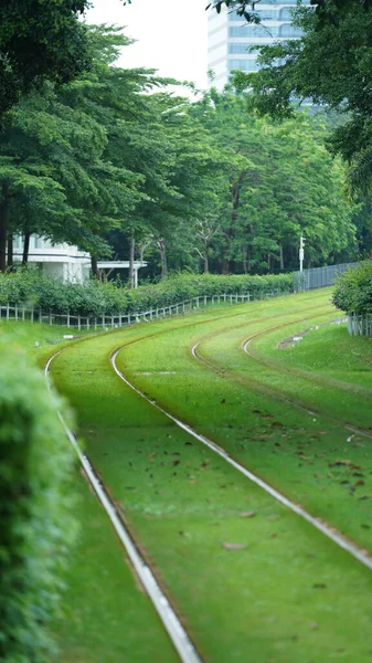Şehirdeki Yeşil Ağaçlı Demir Izli Tramvay Manzarası — Stok fotoğraf