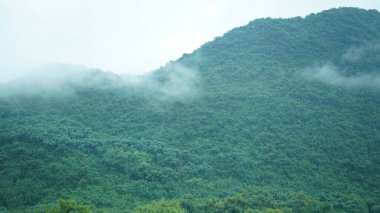 Güzel dağlar, yağmurlu bir günde sisle birlikte görünür.