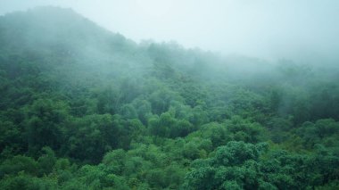 Çin 'in güneyinde yağmurlu bir günde akan trenin güzel kırsal manzarası.