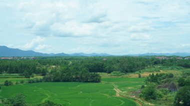 Çin 'in güneyindeki trenden güzel bir kır manzarası.