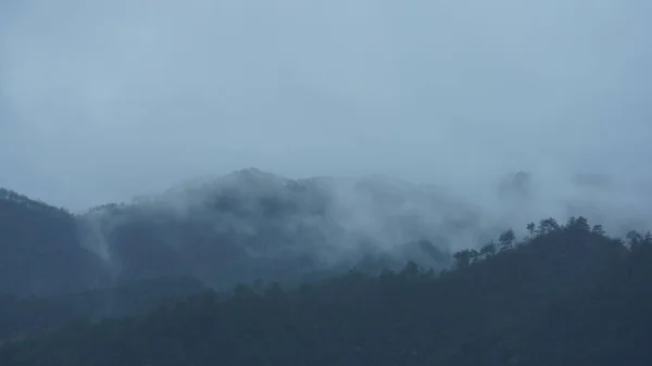 美丽的群山在雾中映入眼帘 — 图库照片