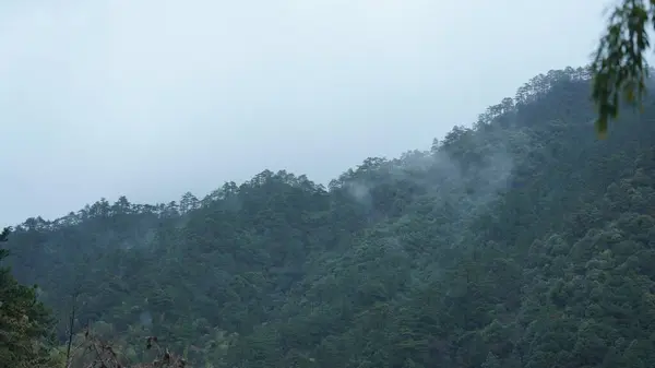 Las Hermosas Montañas Con Vista Niebla Durante Día Lluvioso — Foto de Stock