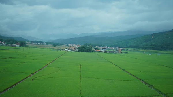 雨の日に中国南部の走る列車からの美しい田園風景 — ストック写真