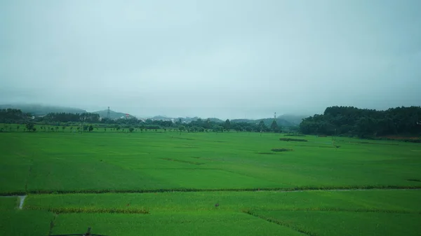 中国南部の走る列車からの美しい田園風景 — ストック写真