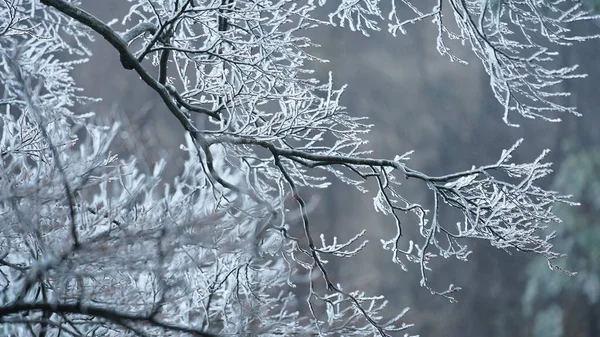 冬には白い雪と氷に覆われた美しい凍結した山々の景色 — ストック写真