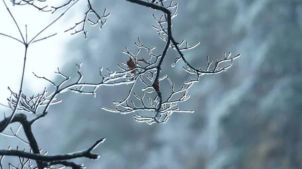 Die Schönen Gefrorenen Berge Winter Von Schnee Und Eis Bedeckt — Stockfoto