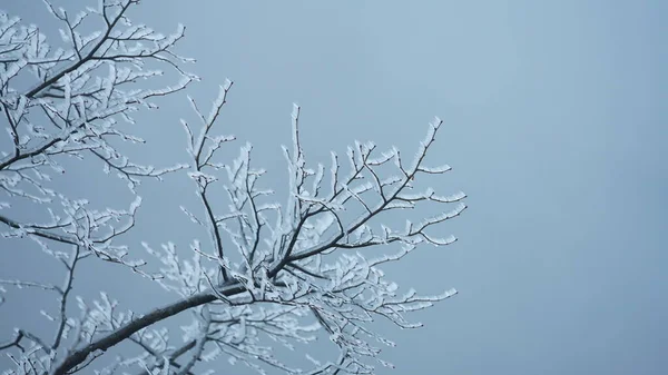 Gyönyörű Fagyott Hegyek Kilátás Borítja Fehér Jég Télen — Stock Fotó