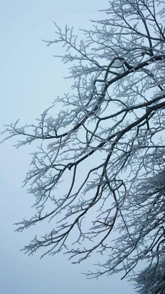 Den Vackra Frusna Fjällutsikten Täckt Vit Snö Och Vintern — Stockfoto