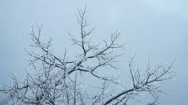 Las Hermosas Montañas Congeladas Vista Cubierta Por Nieve Blanca Hielo —  Fotos de Stock