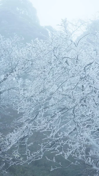 Прекрасний Заморожений Вид Замерзлі Гори Прихований Від Білого Снігу Льоду — стокове фото