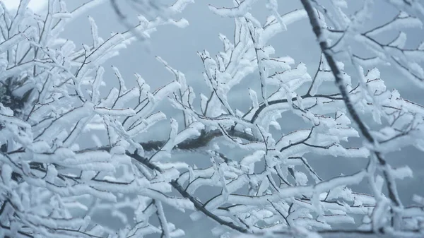 Stock image The beautiful frozen mountains view coverd by the white snow and ice in winter