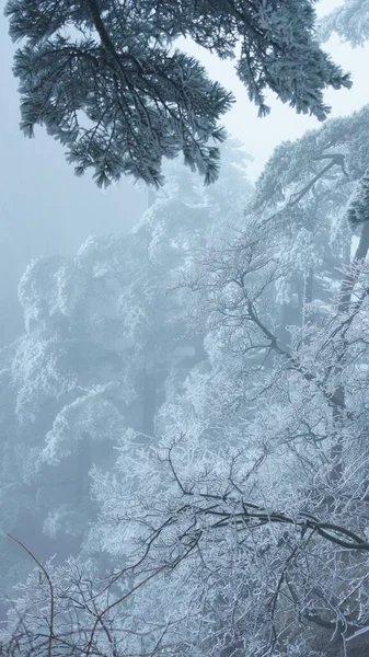 Όμορφη Κατεψυγμένα Βουνά Άποψη Coverd Από Λευκό Χιόνι Και Πάγο — Φωτογραφία Αρχείου