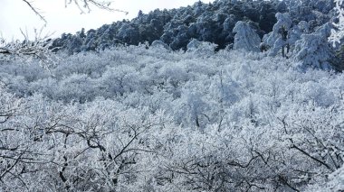 Güzel donmuş dağlar, kışın beyaz kar ve buzla kaplı görünür.