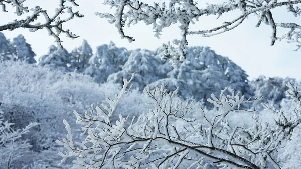 Όμορφη Κατεψυγμένα Βουνά Άποψη Coverd Από Λευκό Χιόνι Και Πάγο — Φωτογραφία Αρχείου