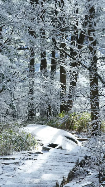 Gyönyörű Fagyott Hegyek Kilátás Borítja Fehér Jég Télen — Stock Fotó