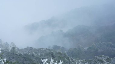 Güzel donmuş dağlar, kışın beyaz kar ve buzla kaplı görünür.