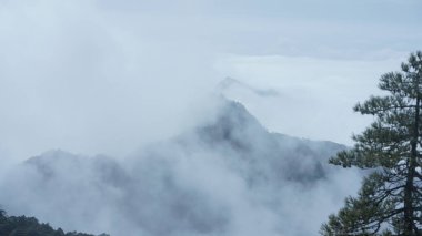 Yeşil ormanlı güzel dağlar ve püsküren kaya uçurumları Çin 'in kırsal kesimlerinde arka plan olarak kullanılıyor.
