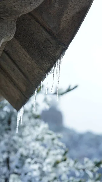 얼어붙은 기둥들 겨울에는 매달려 — 스톡 사진