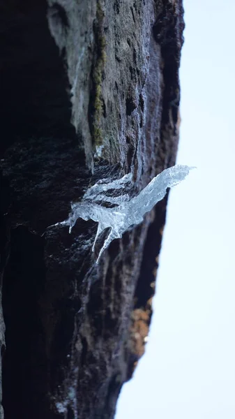 冬の岩の上の凍結した氷景色 — ストック写真