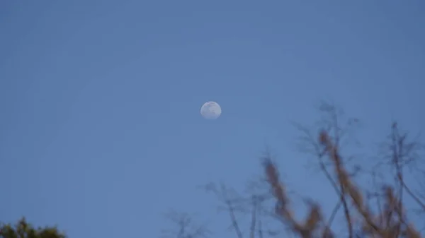 日中の空に丸い白い月と青い空の景色 — ストック写真