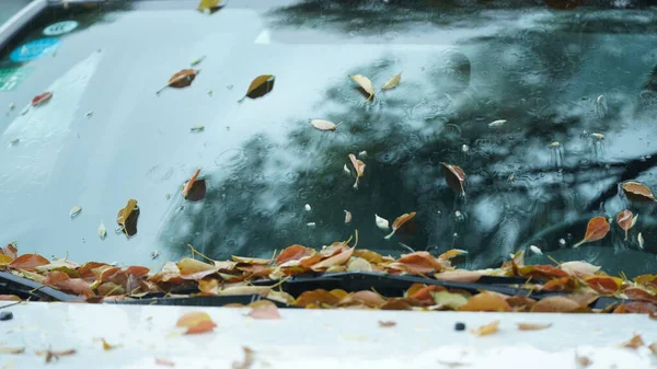 Deszczowy Widok Opuszczoną Jesienią Pozostawia Samochodzie Zimie — Zdjęcie stockowe