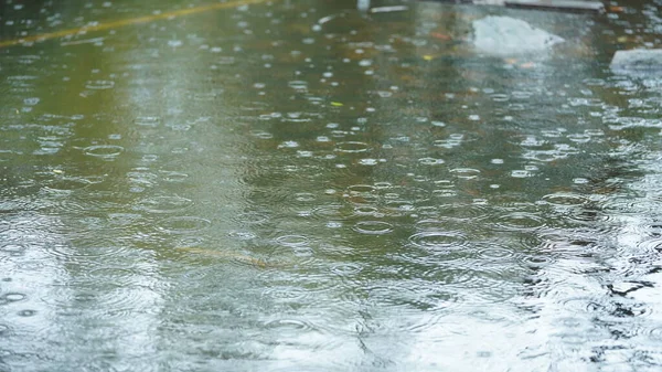 Şiddetli Yağmurda Yağmur Damlacıkları Havada Yağan Yağmurlu Manzara — Stok fotoğraf