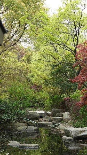 Het Prachtige Uitzicht Tuin Met Frisse Groene Bomen Het Voorjaar — Stockfoto