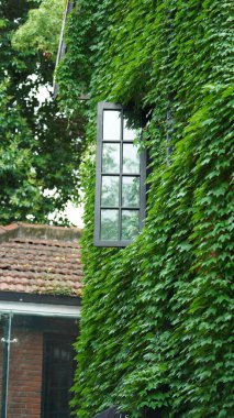 Eski binalar Şangay 'daki Çin şehrinin manzarasını gösteriyor.