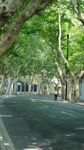 Şanghay Şehir Yolu Manzarası Çin Caddenin Her Iki Tarafında Ağaçlar — Stok fotoğraf
