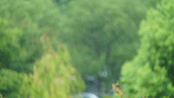 Vue Pluvieuse Avec Les Gouttelettes Eau Dans Air Pendant Les — Photo
