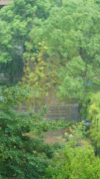 Şiddetli Yağmurda Yağmur Damlacıkları Havada Yağan Yağmurlu Manzara — Stok fotoğraf