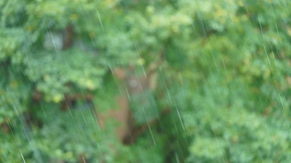 下大雨的时候 有水滴在空中的雨景 — 图库照片