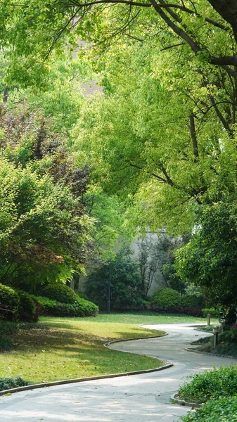 Baharda Taze Yeşil Ağaçlarla Güzel Bahçe Manzarası — Stok fotoğraf