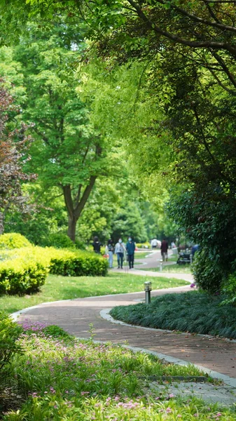 Las Personas Jugando Caminando Jardín Aislado Durante Período Covid19 — Foto de Stock