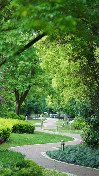 stock image The people playing and walking in the isolated garden during the Covid19 period