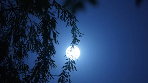 Lune Vue Nuit Avec Lune Ronde Blanche Dans Ciel — Photo