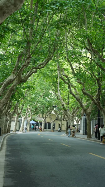 Şanghay Şehir Yolu Manzarası Çin Caddenin Her Iki Tarafında Ağaçlar — Stok fotoğraf