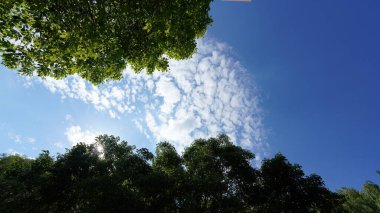 Güzel gökyüzü manzarası beyaz bulutlar ve mavi gökyüzü yazın arka planda.