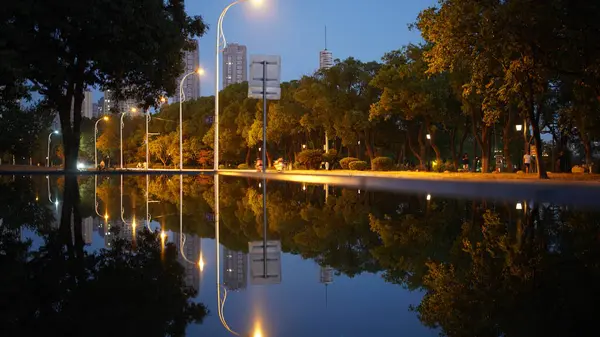 Der Blick Auf Den Park Mit Der Spiegelung Wasser Sommer — Stockfoto
