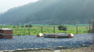 Çin 'in güneyinde eski köy ve dağlarla güzel bir kır manzarası.