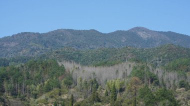 Çin 'in güneyinde eski köy ve dağlarla güzel bir kır manzarası.