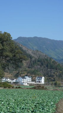 Çin 'in güneyinde eski köy ve dağlarla güzel bir kır manzarası.