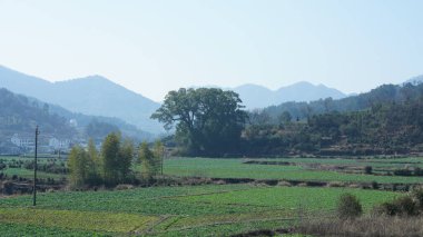 Çin 'in güneyinde eski köy ve dağlarla güzel bir kır manzarası.