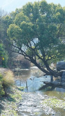 Eski köy binalarının Çin 'in güneyindeki suda yansıdığı güzel kırsal manzara.