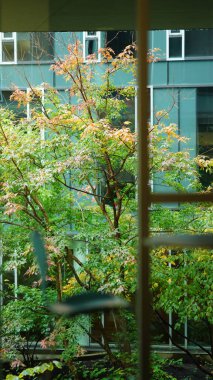 Yağmurlu bir günde cam penceresi ve koridoru olan iç bina manzarası.