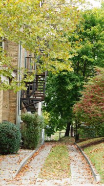 Daireler sonbaharda sıcacık güneş ışığı ve renkli ağaçlarla görünüyor.