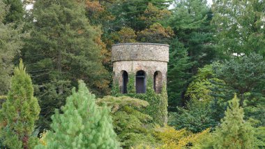 Eski çan kulesi manzarası Sonbahar ormanlarıyla arka planda eski bahçede