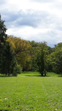 Sonbaharda ağaçlardaki renkli ve güzel yapraklar